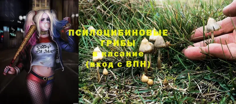 Галлюциногенные грибы Magic Shrooms  Благодарный 